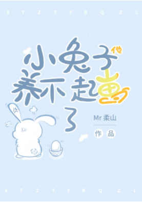 《小兔子他养不起崽了》作者：Mr柔山（完结+番外）TXT下载